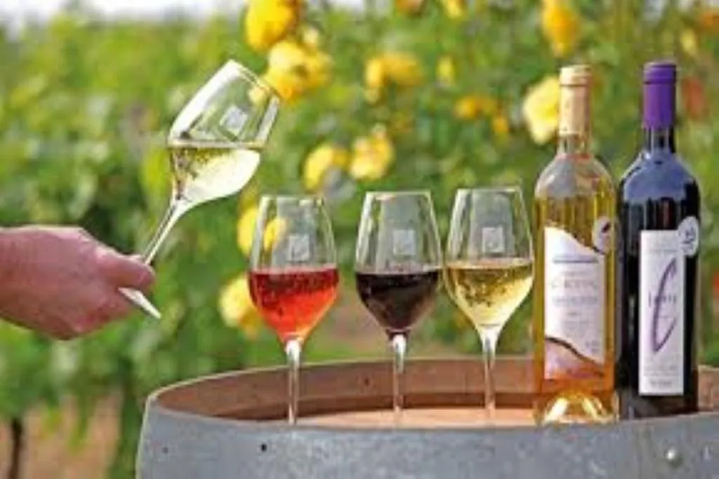 Le Mas De Doat, Gite De Charme 4 Etoiles Dans Le Triangle D Or Proche Gaillac Et Albi Senouillac Dom wakacyjny