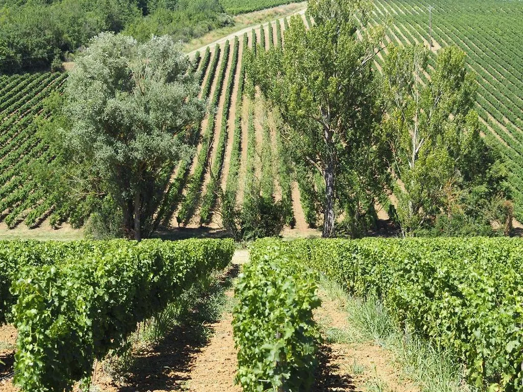 Le Mas De Doat, Gite De Charme 4 Etoiles Dans Le Triangle D Or Proche Gaillac Et Albi Senouillac 0*,